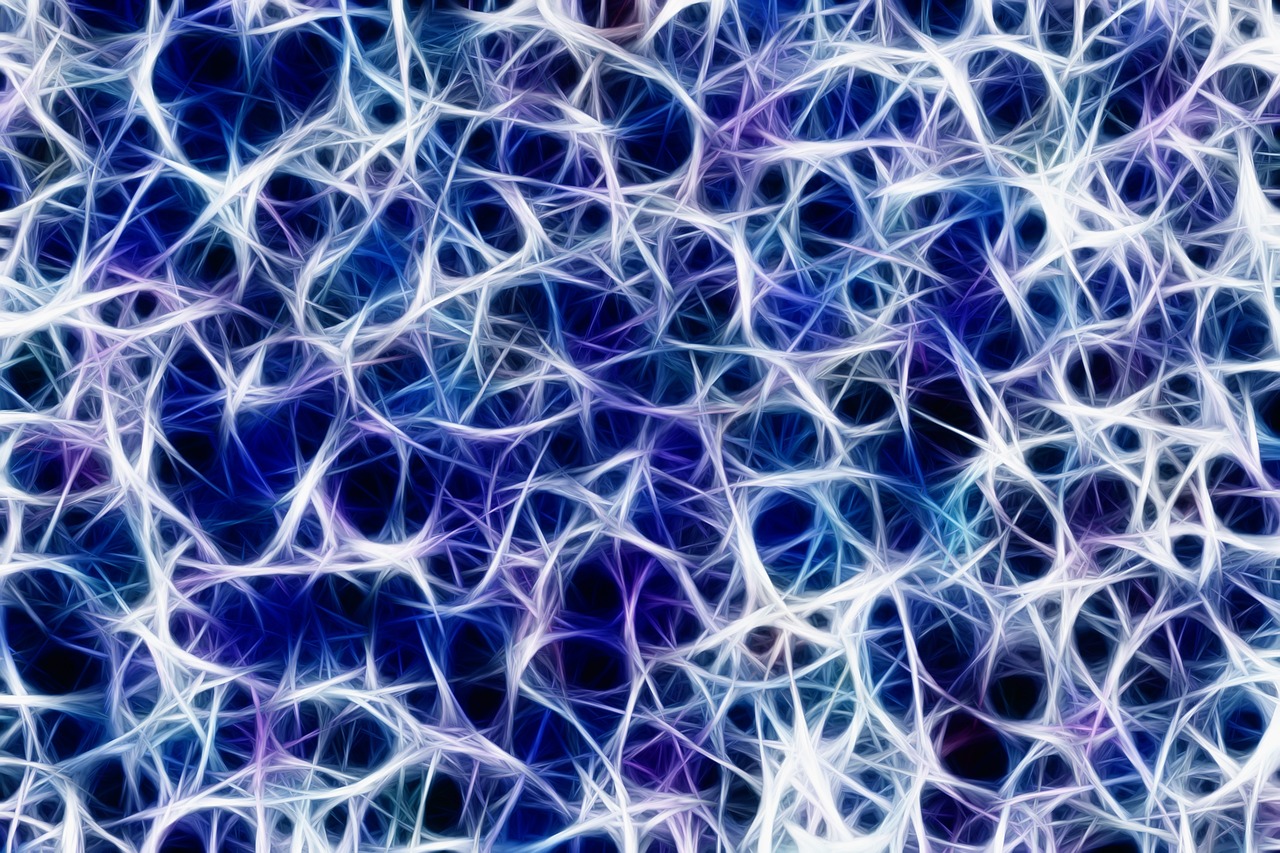 They strengthen the neuronal connections